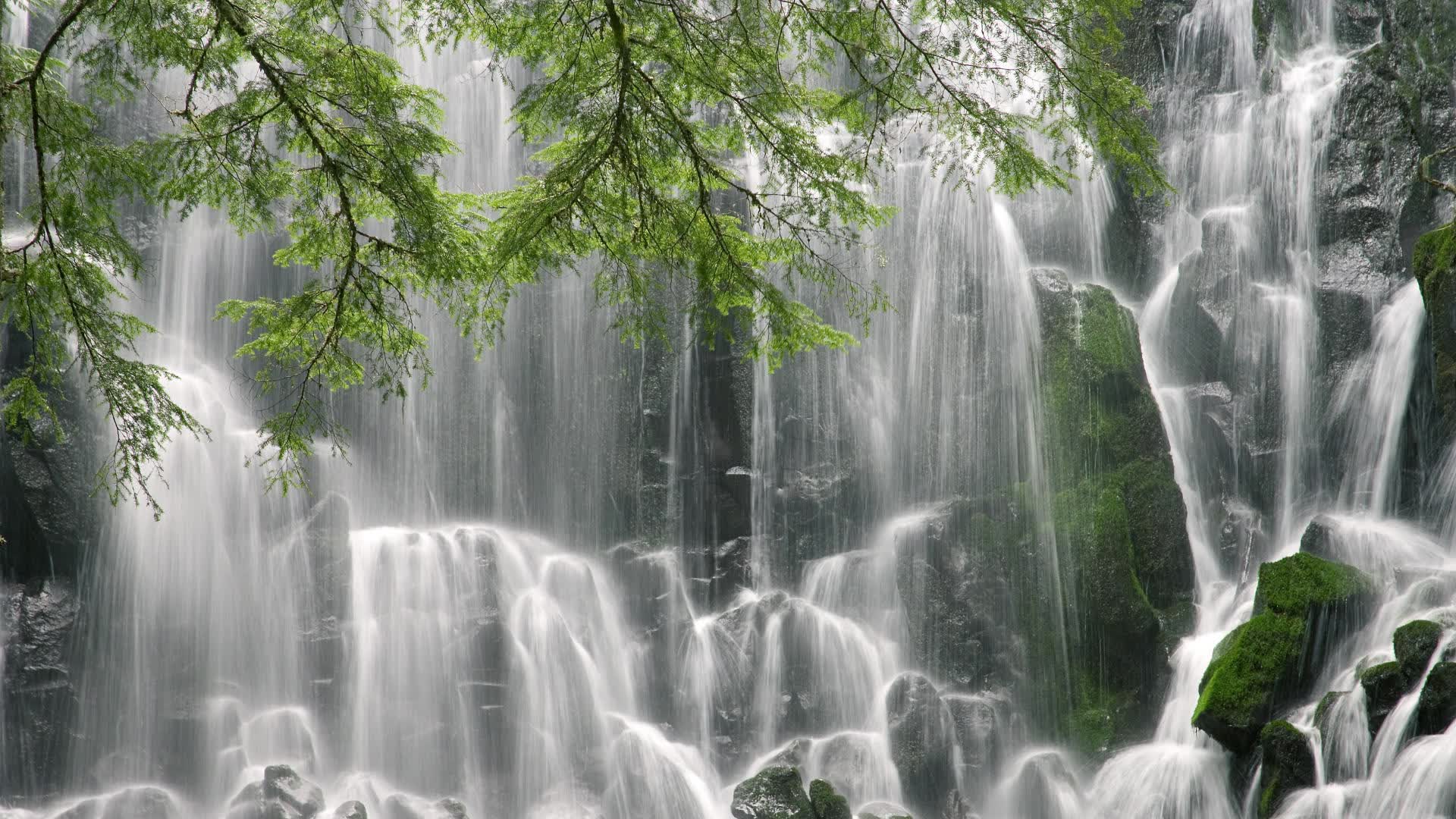 世界体能训练认证：多国教练获得国际资格证书，体能训练师国家承不承认